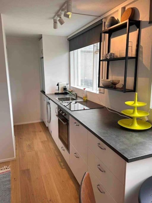 Studio Apartment Reykjavik City Center 외부 사진
