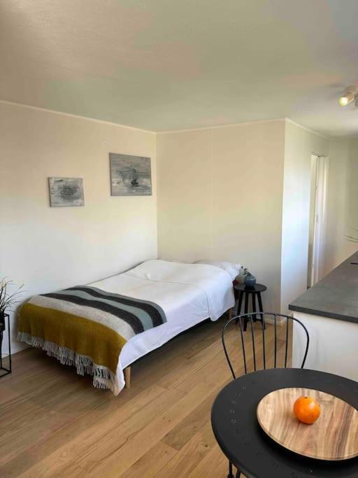 Studio Apartment Reykjavik City Center 외부 사진